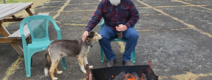 christmas party 2019